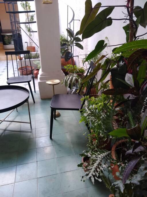 Casa Cuauhtemoc Villa Guadalajara Exteriör bild