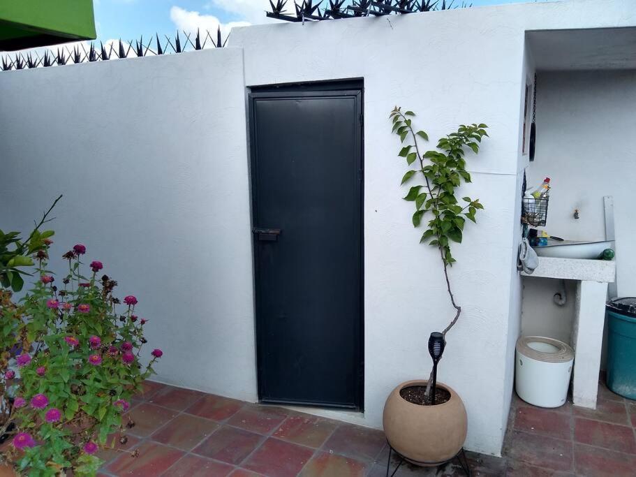 Casa Cuauhtemoc Villa Guadalajara Exteriör bild