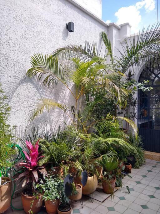 Casa Cuauhtemoc Villa Guadalajara Exteriör bild