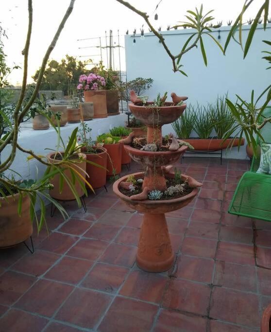 Casa Cuauhtemoc Villa Guadalajara Exteriör bild