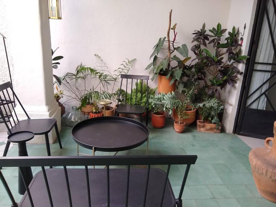 Casa Cuauhtemoc Villa Guadalajara Exteriör bild